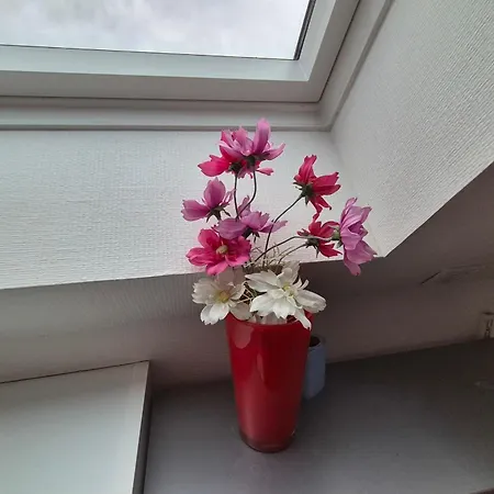 With Garden In
